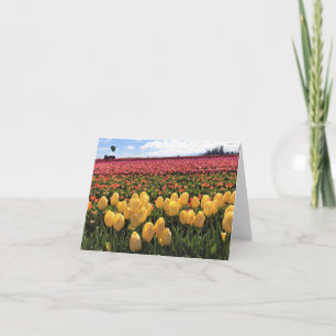 Cartão De Agradecimento Campo de Tulipas Lindas com Balão de Ar Quente, Or