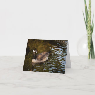Cartão De Agradecimento Canadian Goose