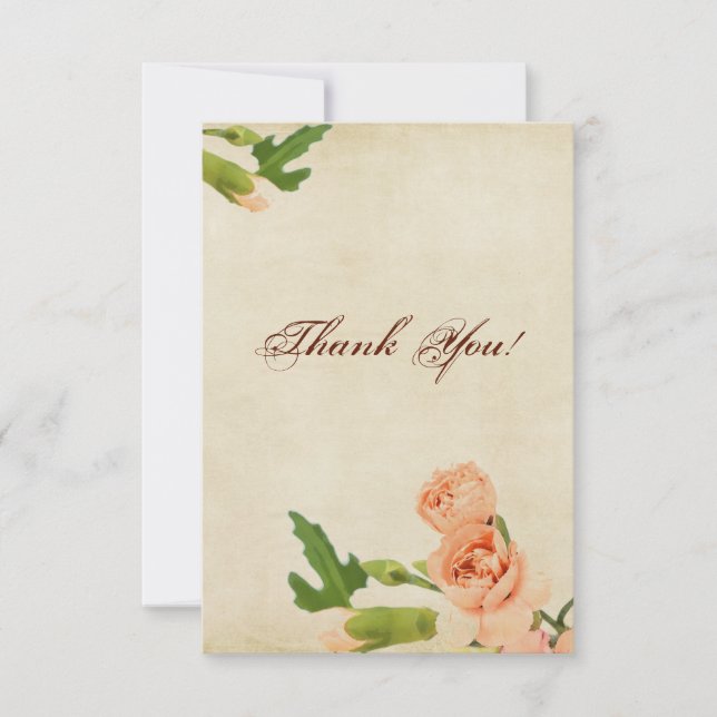 Cartão De Agradecimento Cantos do cravo do pêssego da aguarela (Frente)