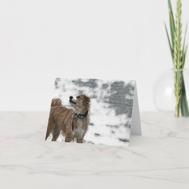 Cartão De Agradecimento Cão (Frente)