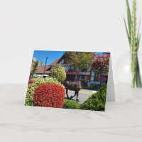 Carruagem desenhada pelo cavalo Frankenmuth
