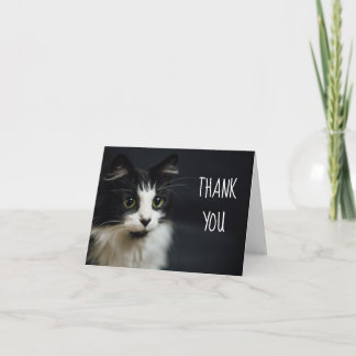 Cartão De Agradecimento Cat, Gatinho, Obrigado Pequeno Notecard