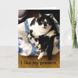 Cartão De Agradecimento Cat Obrigado pelas minhas cartas de Natal