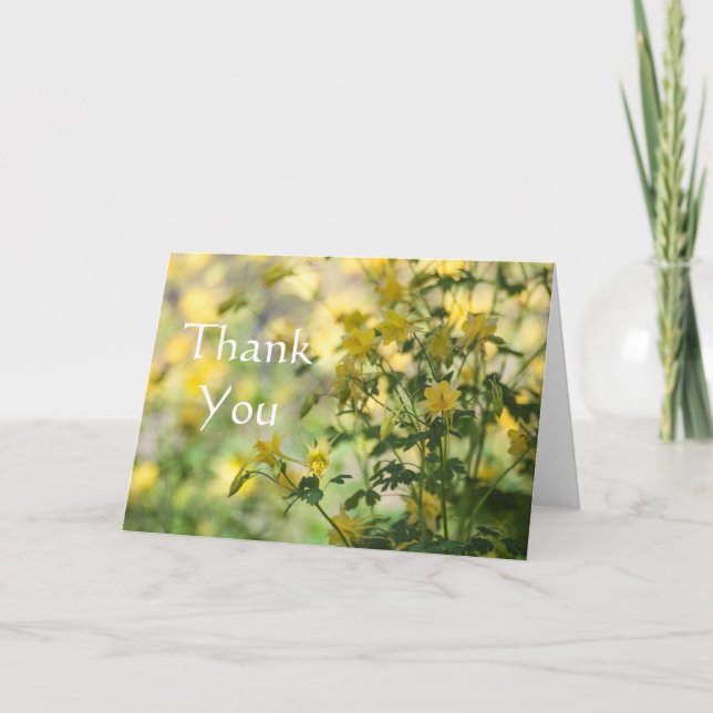 Cartão De Agradecimento Cats-Claw Obrigado (Frente)