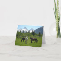 Cavalos e Mulas em frente às montanhas Teton
