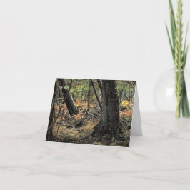 Cartão De Agradecimento Cena de floresta outonal              