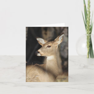 Cartão De Agradecimento Cervos de Whitetail Notecard - vazio para dentro