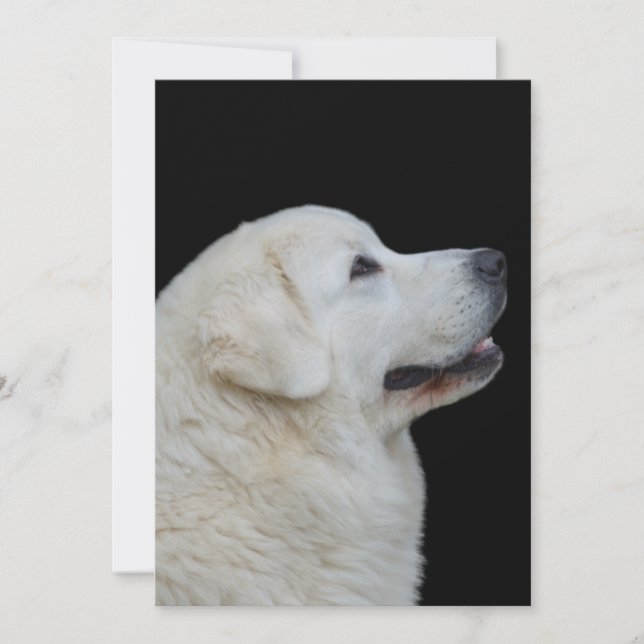 Cartão De Agradecimento Chefe do surpreendente pastor Tatra polonês no car (Frente)