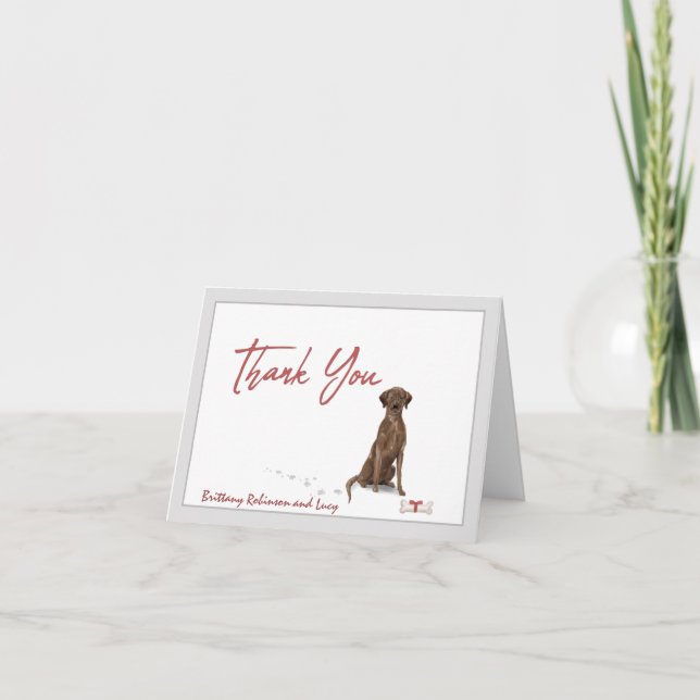Cartão De Agradecimento Chocolate Labrador Retriever Dog Personalize (Frente)