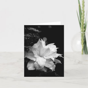 Cartão De Agradecimento Clematis 3 Vazio Nota Condolências