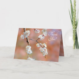 Cartão De Agradecimento Clusters De Flores Apricot Japonesas