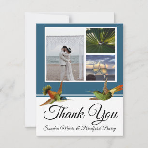 Cartão De Agradecimento Colagem de Fotos de Casamento de Hummingbird Azul
