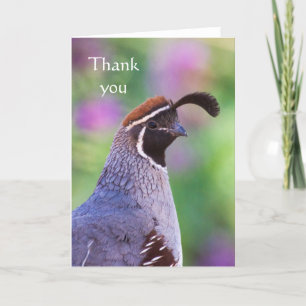 Cartão De Agradecimento Colorida Quail, Obrigado