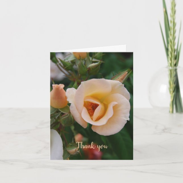 Cartão De Agradecimento Compaixão Obrigado da Família (Frente)