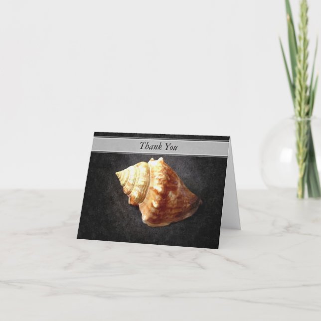 Cartão De Agradecimento Conch de combate de Florida (Frente)