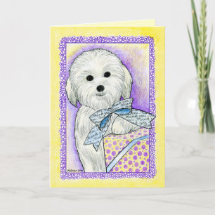 Cartão De Agradecimento Coton de Tulear Thank You Card