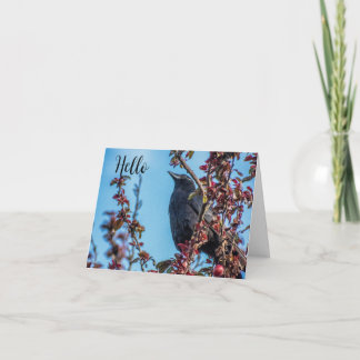 Cartão De Agradecimento Crow Says Hello 
