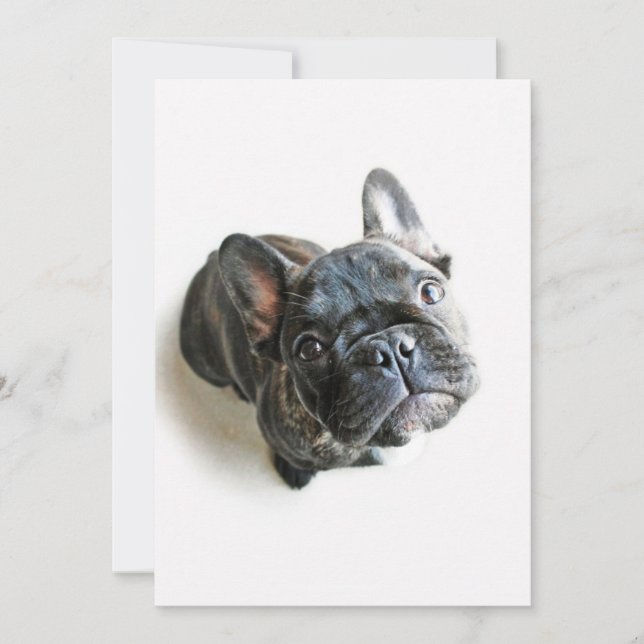 Cartão De Agradecimento Cutest Baby Animals | French Bulldog Look Up (Frente)