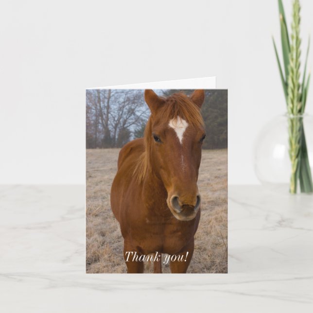 Cartão de Agradecimento da Postura do Cavalo (Frente)