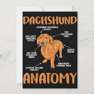 Cartão De Agradecimento Dachshund Cute Gifts Wiener Doxie Lovers