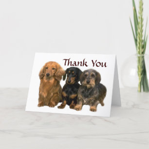 Cartão De Agradecimento Dachshund Thank You Card