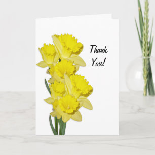 Cartão De Agradecimento Daffodils no vazio branco, obrigado nota
