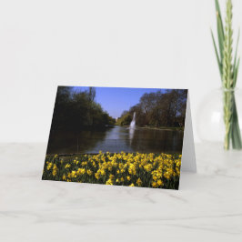 Cartão De Agradecimento Daffodils Rua James's Park London