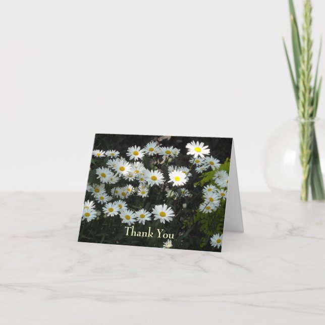 Cartão de Agradecimento Daisy (Frente)