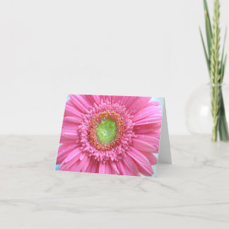 Cartão De Agradecimento Daisy gerbera rosa