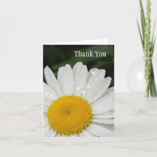 Cartão De Agradecimento Daisy with Rain Drops All Occasion Notecard