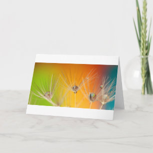 Cartão De Agradecimento Dandelion Blossoms Flores Destino Paz Amor Arte