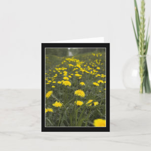 Cartão De Agradecimento Dandelions em Minnesota