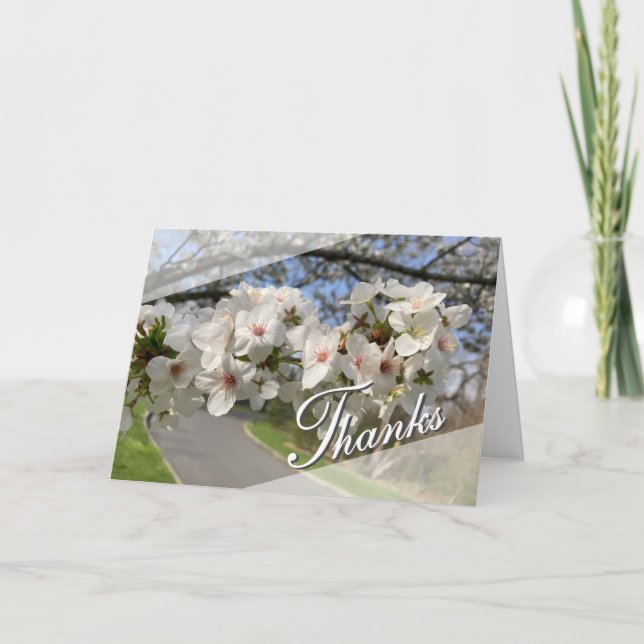 Cartão de Agradecimento das Flores de Maio (Frente)
