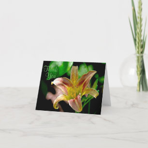Cartão De Agradecimento Daylily Thank You Card