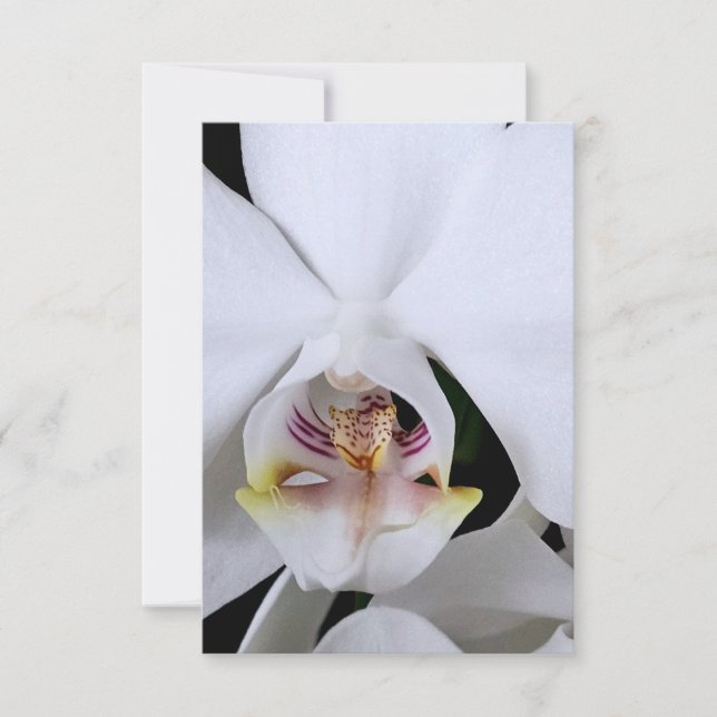 Cartão de agradecimento de flor de orquídea branca (Frente)
