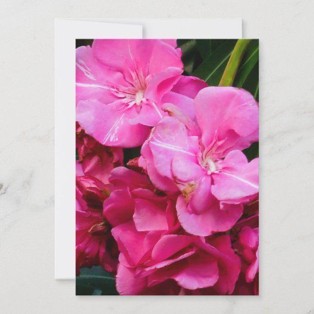Cartão de agradecimento de flores rosa (Frente)