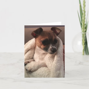 Cartão de Agradecimento de Folha Dupla