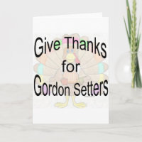 Dê Obrigados para o Gordon Setters