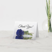 Dentro de Casamento de Rosa Azul Elegante com Mari