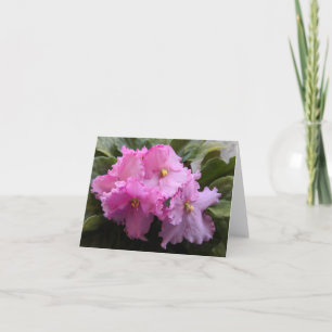 Cartão De Agradecimento Dentro de placa violeta, cor-de-rosa, Vazio