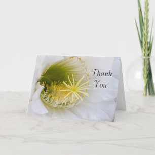Cartão De Agradecimento Dentro de um cacto branco em flor