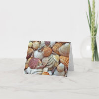 Dentro de Vazio de conchas marítimas
