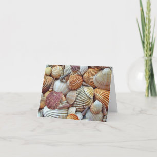 Cartão De Agradecimento Dentro de Vazio de conchas marítimas