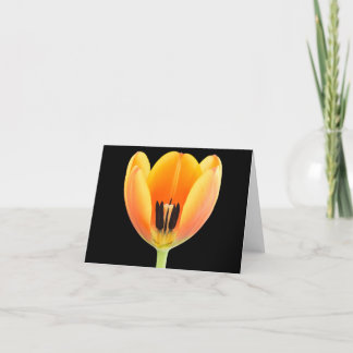 Cartão De Agradecimento Dentro e tulipa de cor laranja