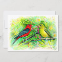 Desenho de Lápis de Cores Aquáticas