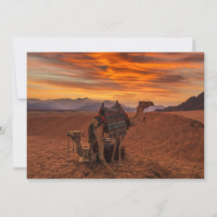 Cartão De Agradecimento Desertos Bactrian Camel Egypt Sand Dune
