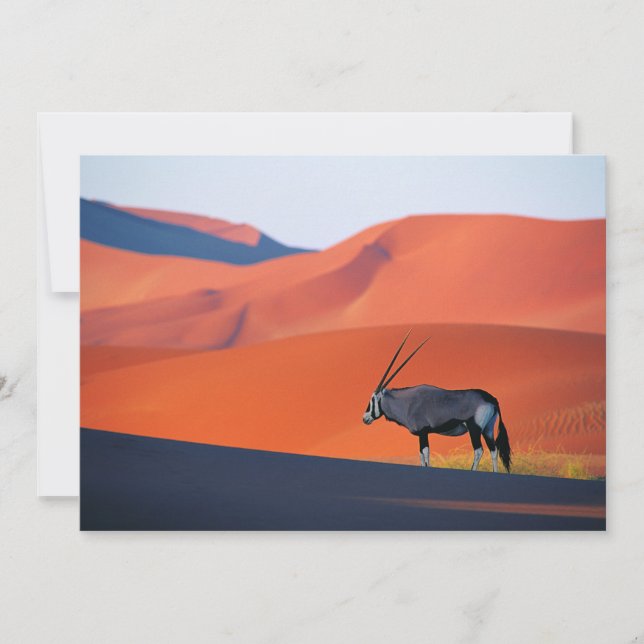Cartão De Agradecimento Desertos | Namib Desert Oryx (Frente)