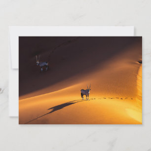 Cartão De Agradecimento Desertos   Namib Naukluft National Park Quênia