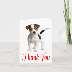 Cartão de Agradecimento do Cachorrinho Jack Russel