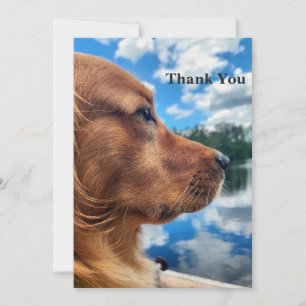 Cartão de Agradecimento do Golden Retriever pelo L